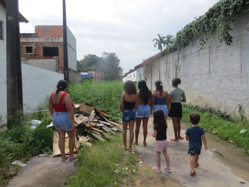 imagem_2